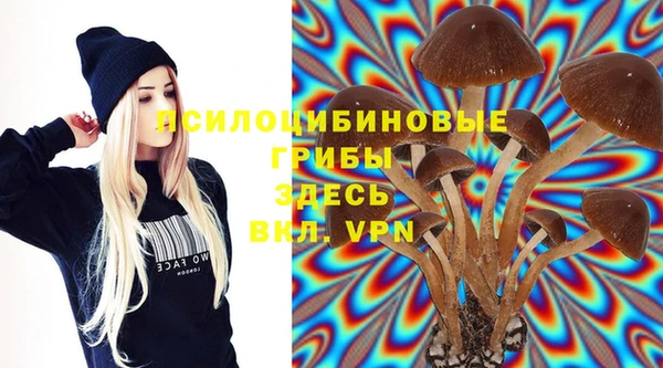 прущие крисы Аркадак