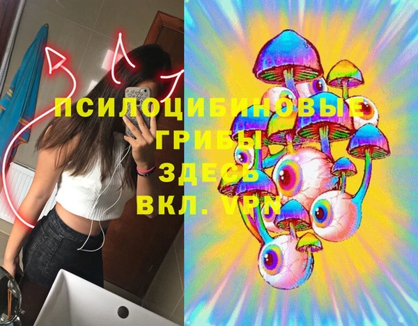 гашик Балахна